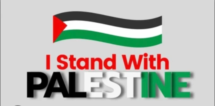 Banner image of baby melon treasures