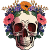 VLAC
