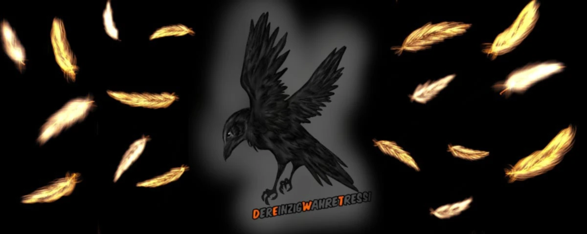 Bannerbild von Tressi