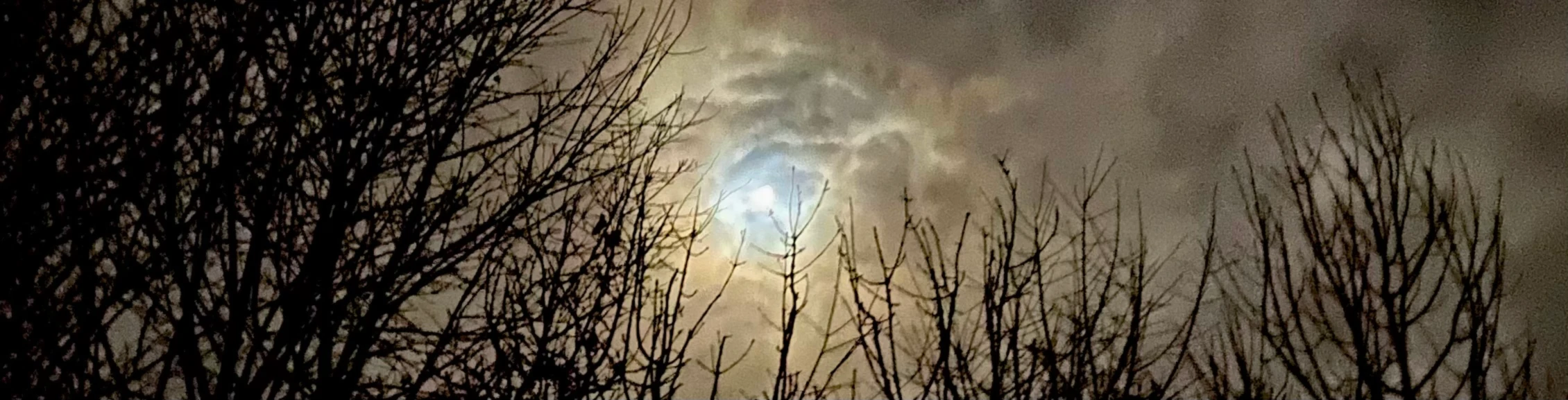 Bannerbild von Black.Siren - Designs