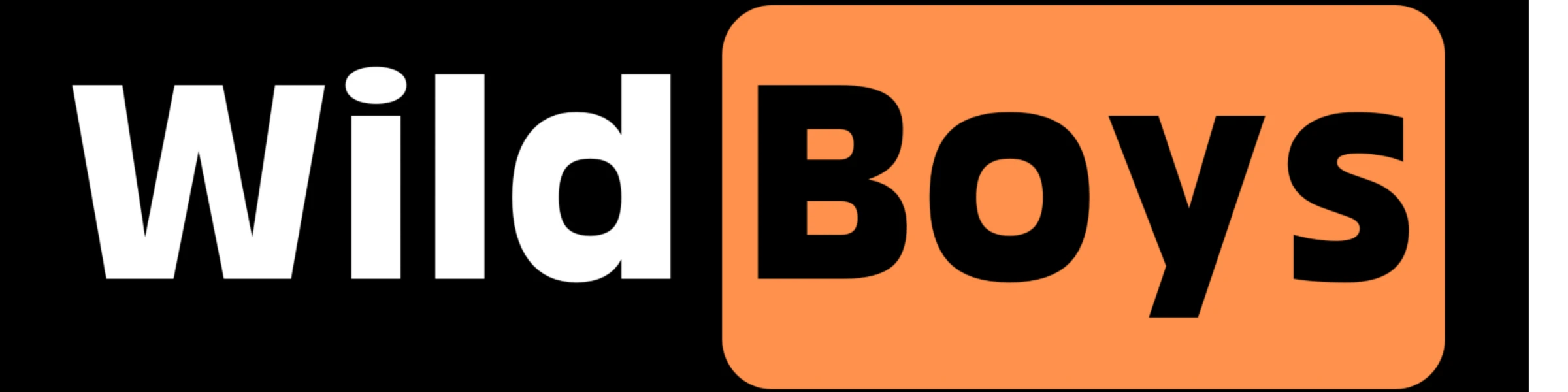 Bannerbild von Wild Boys Shop