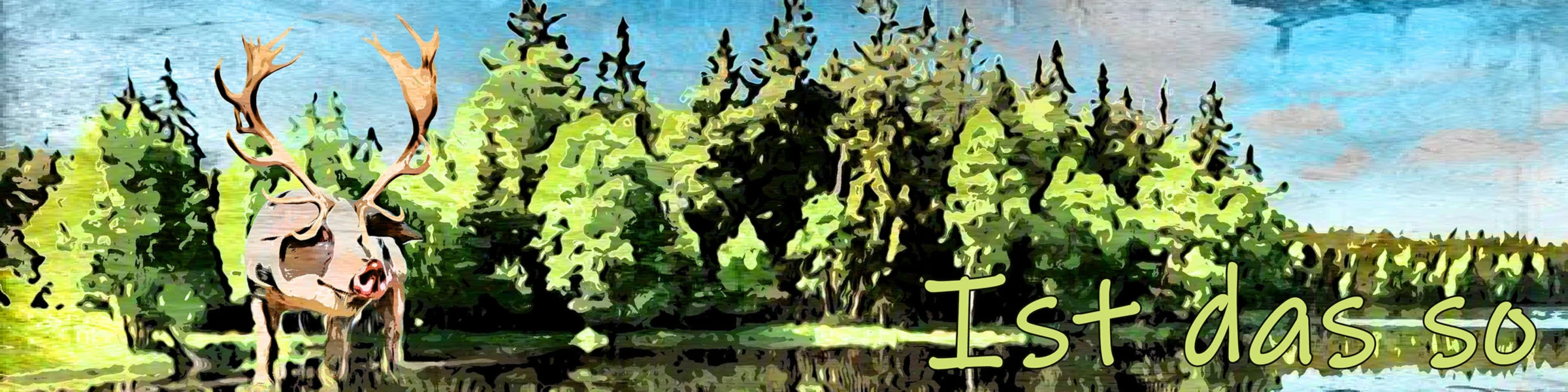 Bannerbild von ist das so shirt