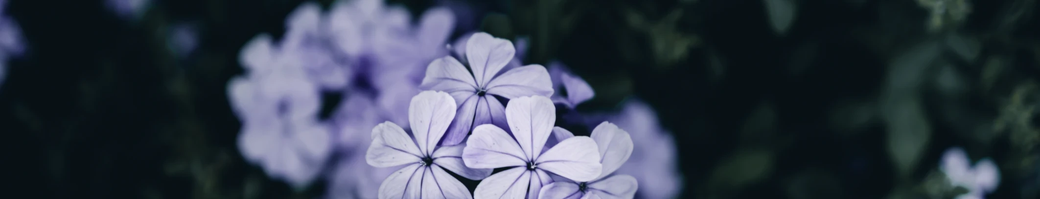 Banner image of subgirl44