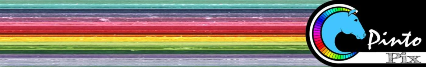 Banner image of Pinto PIX