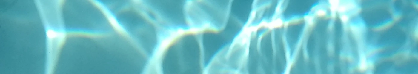 Banner image of Flipflops