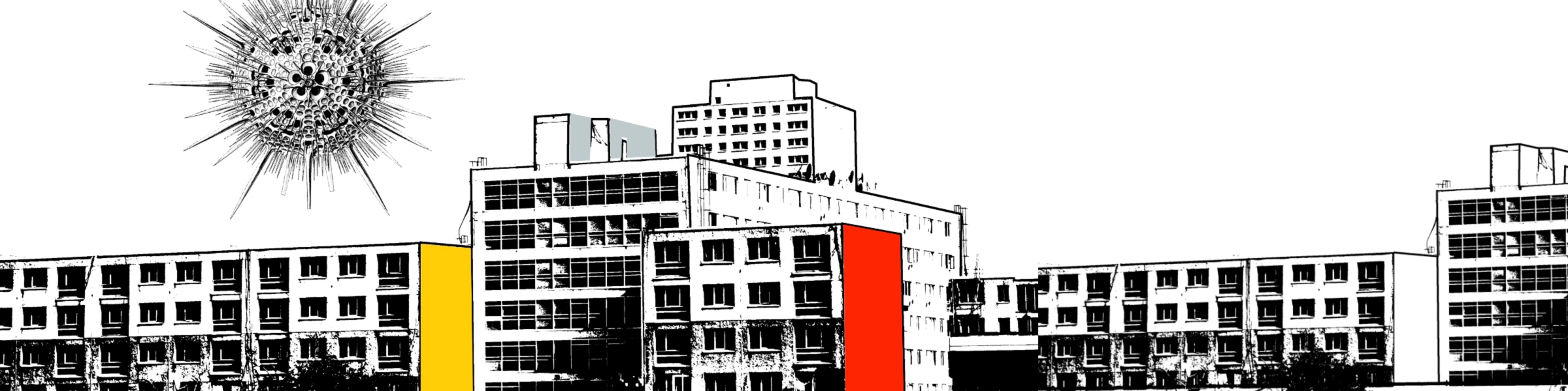 Banner image of maituca