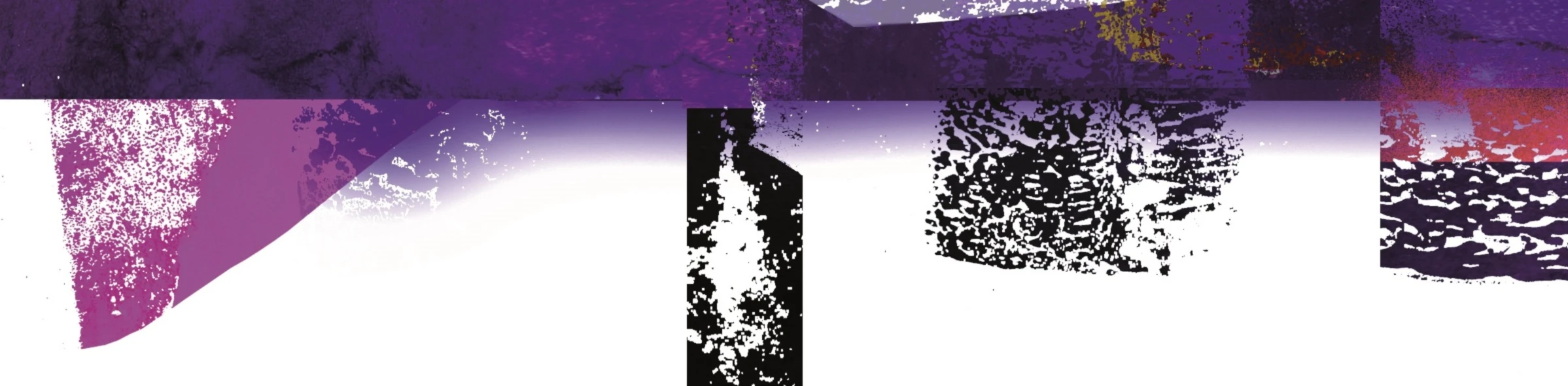 Banner image of Once Warriors