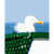 Wattvogel