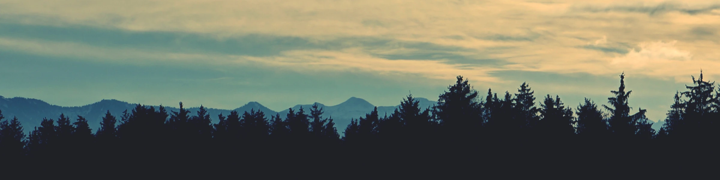 Banner image of Govec