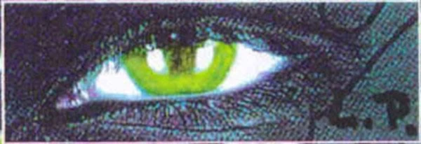 Bannerbild von LUZINGER
