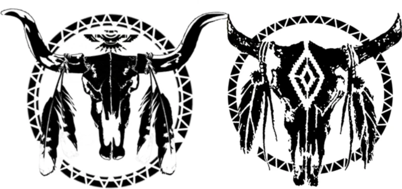 Banner image of gator