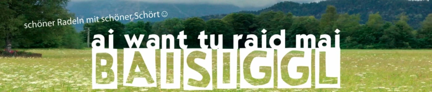 Banner image of BAISIGGL