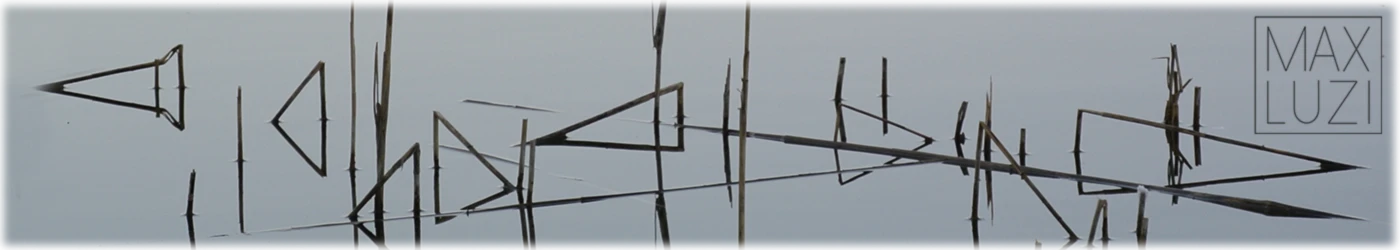 Banner image of MAXLUZI