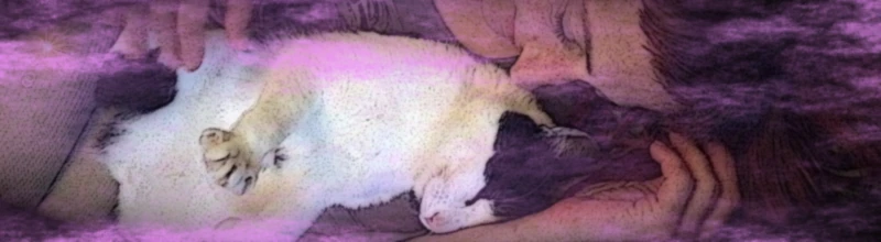 Banner image of LYRA AMBER