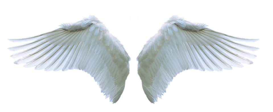 Bannerbild von M.B.A.