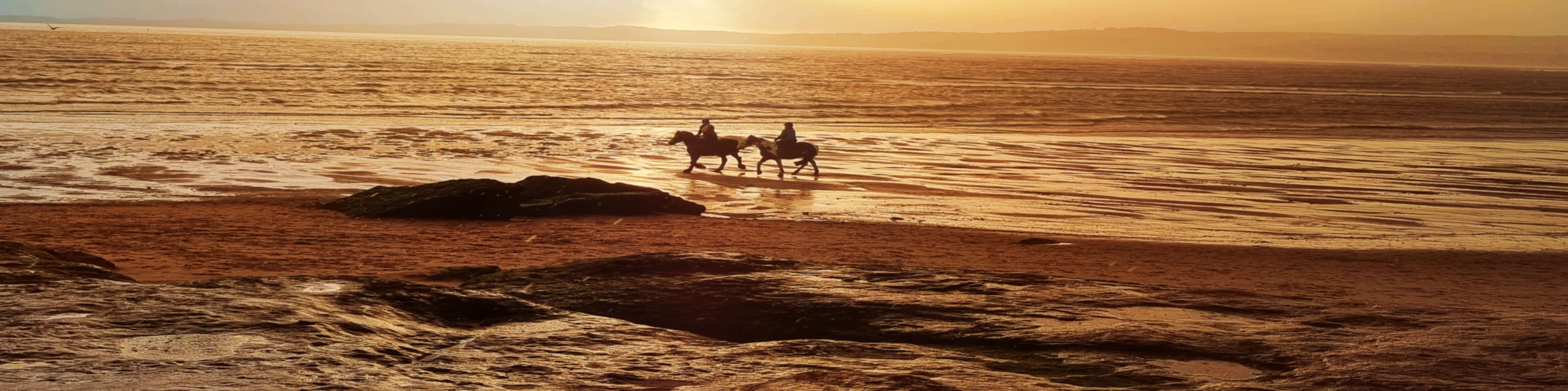 Banner image of Print Wave