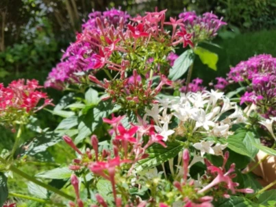 Bannerbild von Peter  Stephan