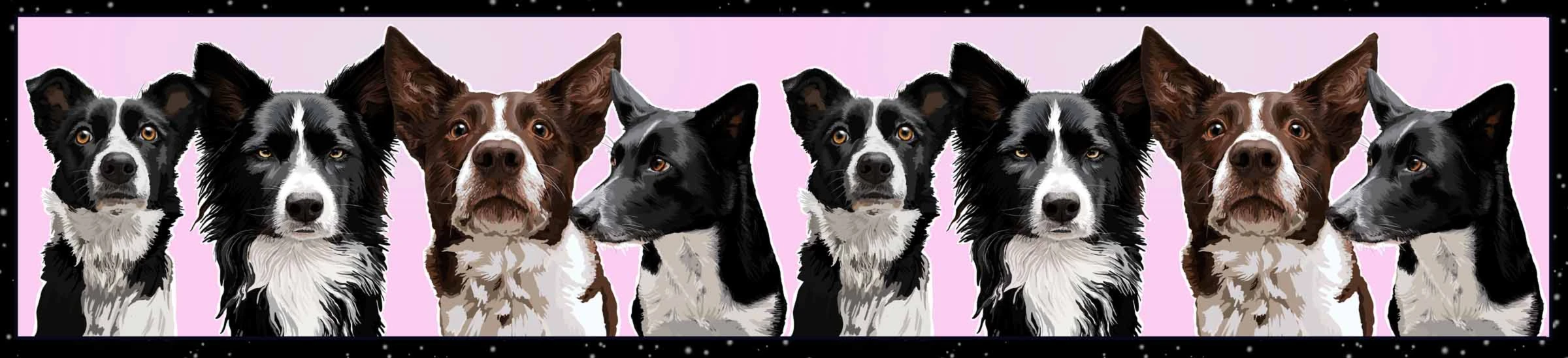 Banner image of Mausini Macaroni