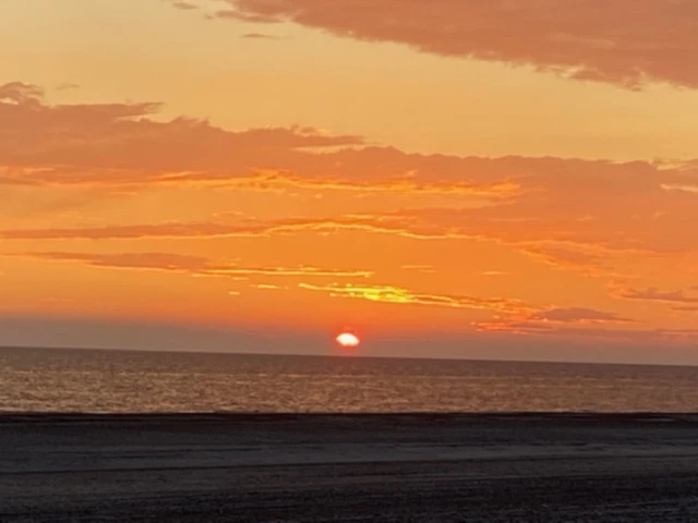 Bannerbild von Beebob - Jessica Reinhold