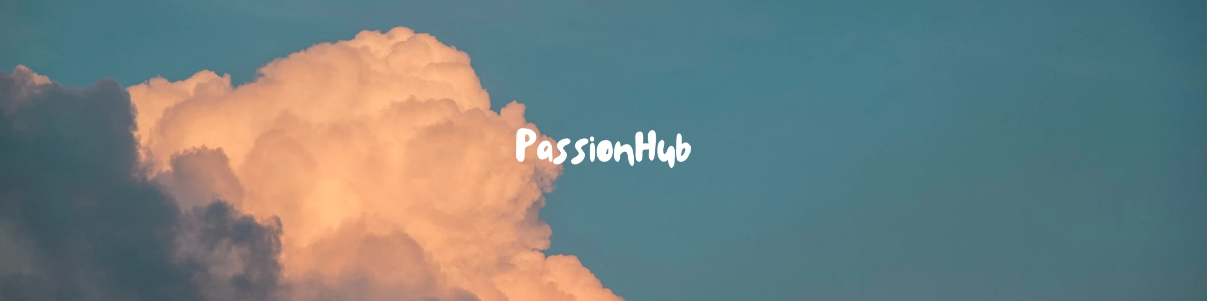 Bannerbild von PassionHub