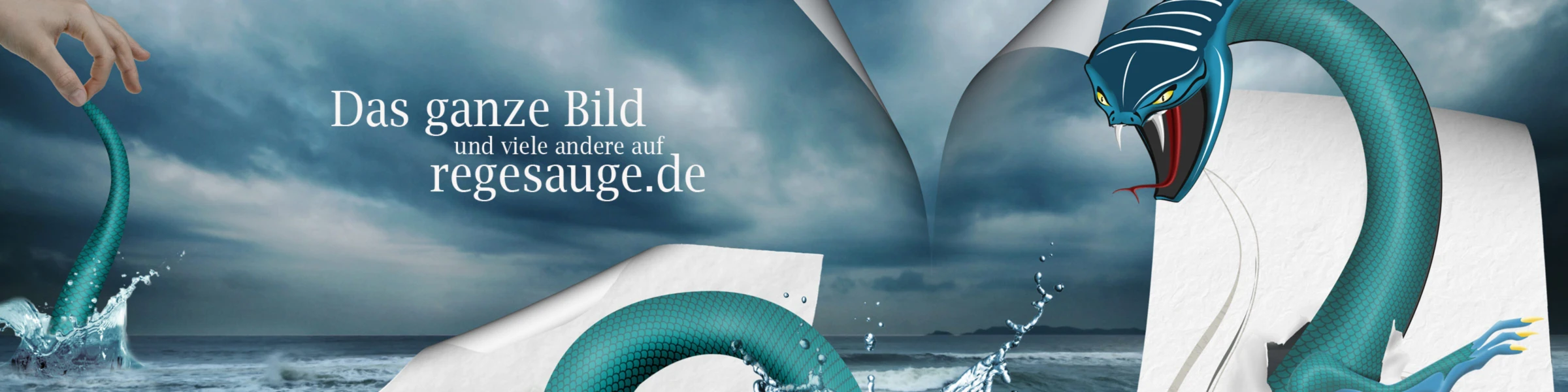 Banner image of norisboy