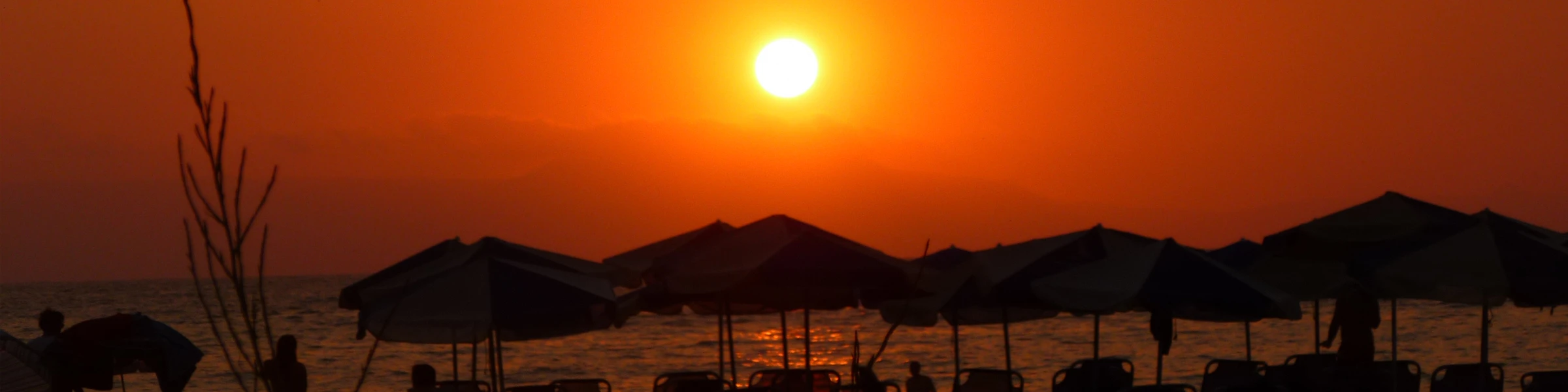 Banner image of Kill Fitz