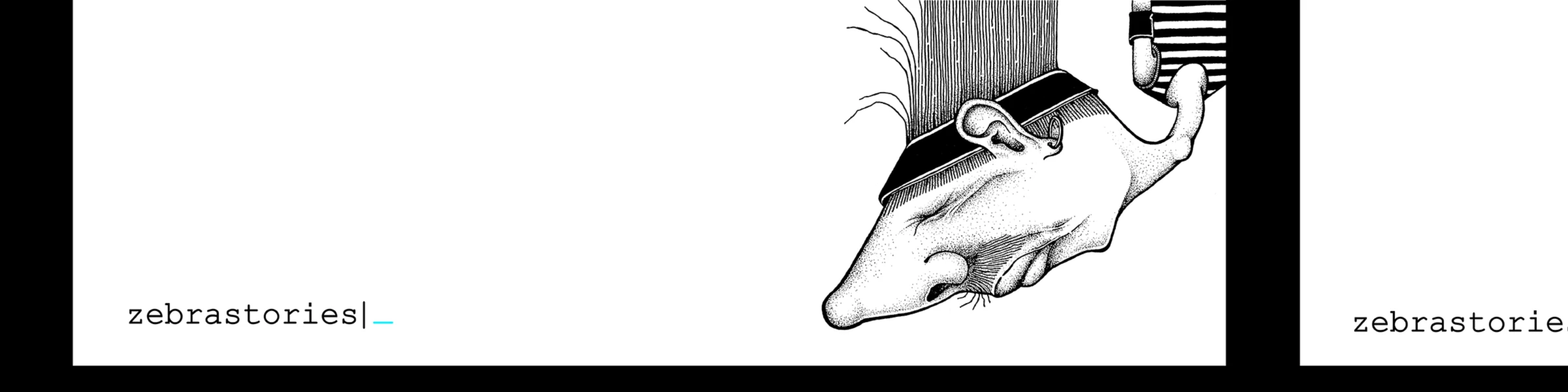 Bannerbild von zebrastories