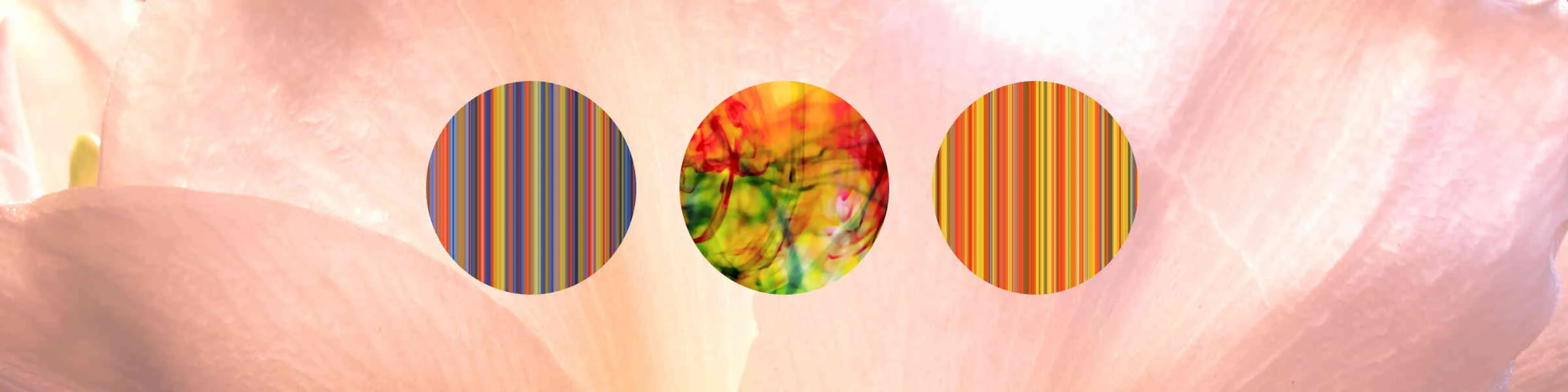 Banner image of MQKT