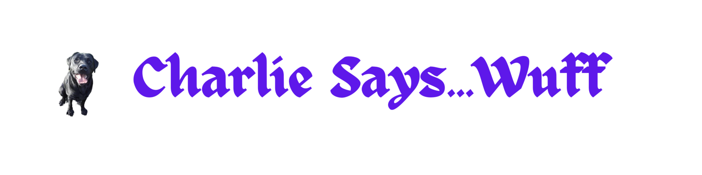 Banner image of paulcharlieboy