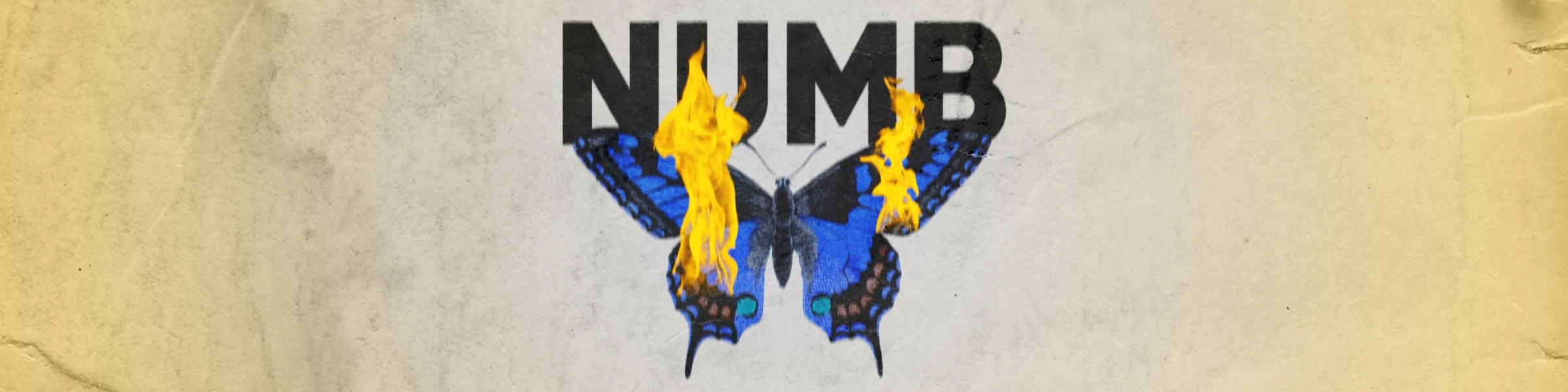 Banner image of Davoot