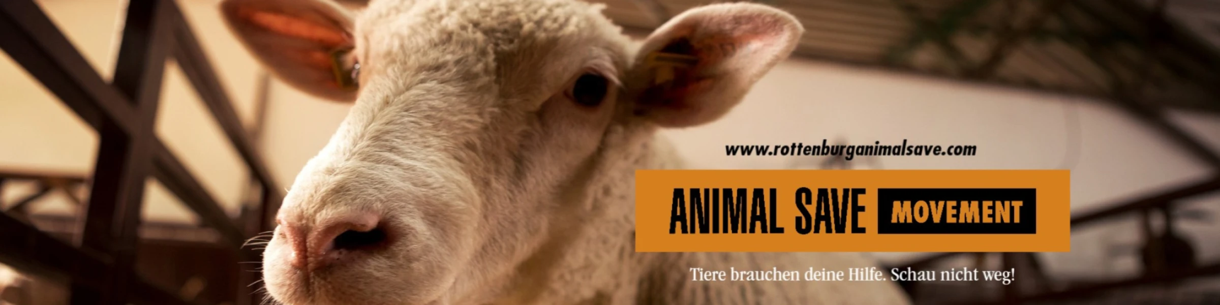 Bannerbild von Rottenburg Animal Save