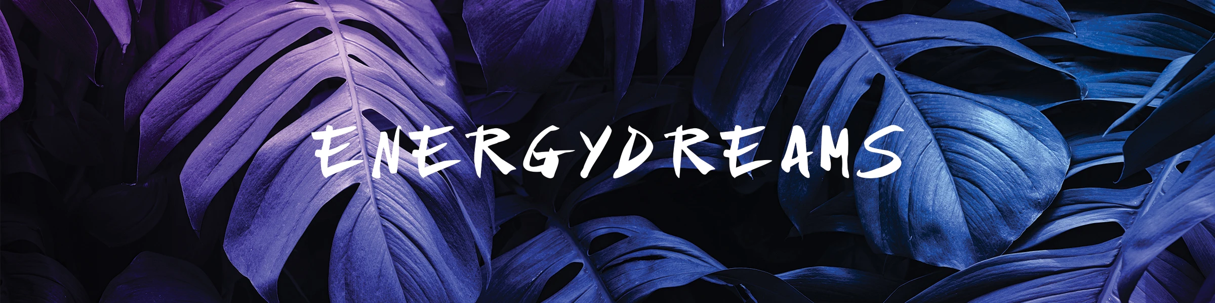Banner image of Energydreams
