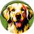 Paw Pop
