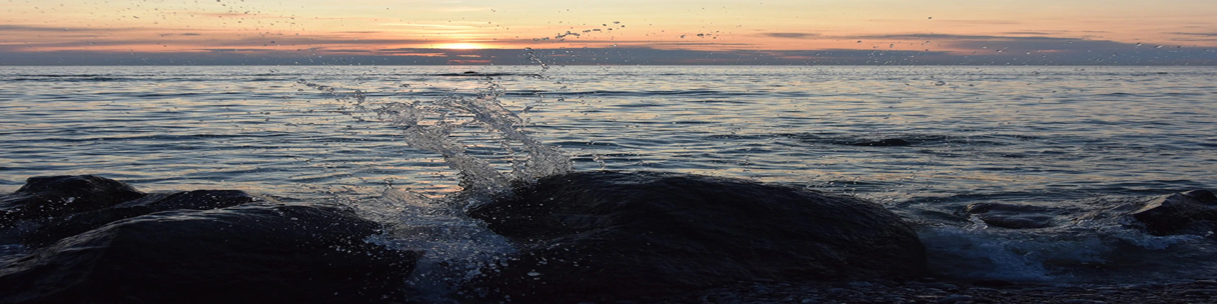 Banner image of KoM Home Creative