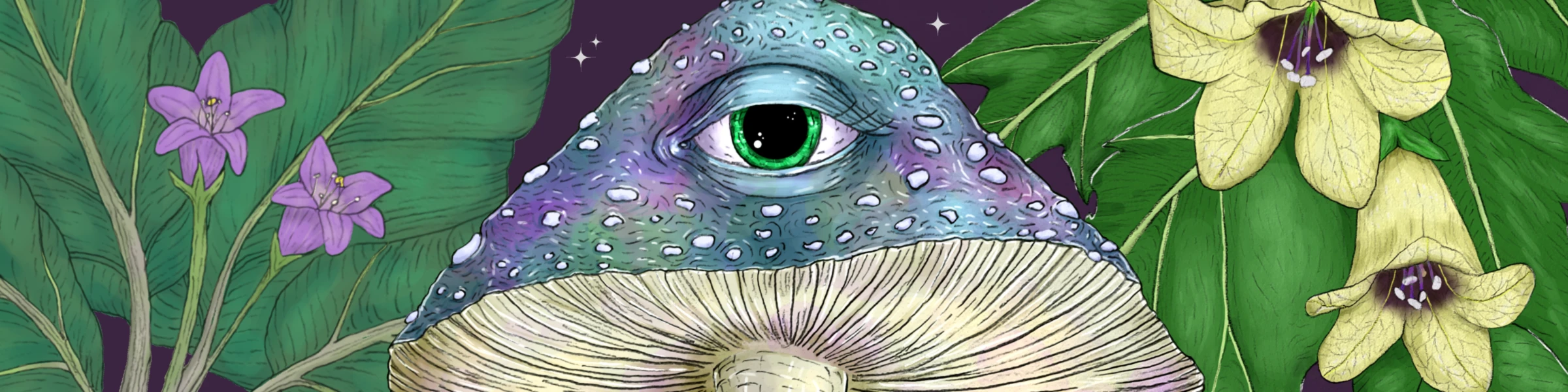 Banner image of Leli Mystic