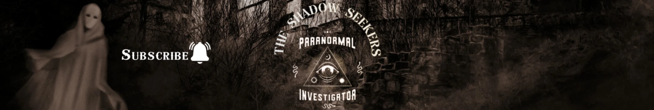 Banner image of The shadow seekers