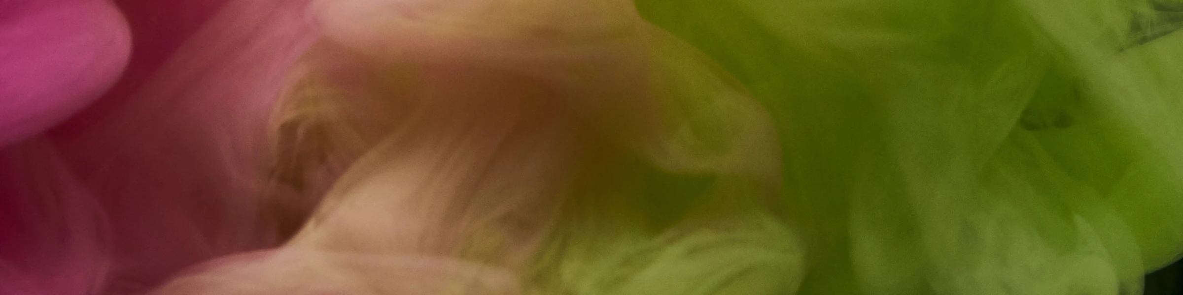 Banner image of gilpixel.art