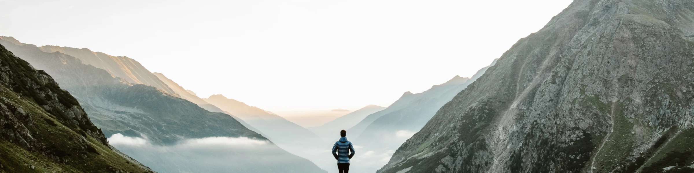 Banner image of Vision-Julian