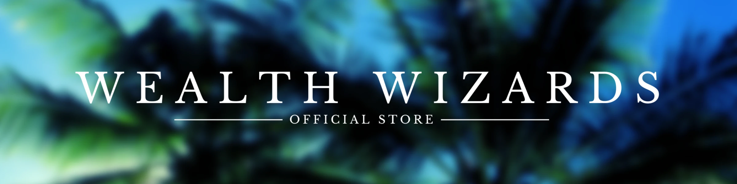 Banner image of Wealth Wizards