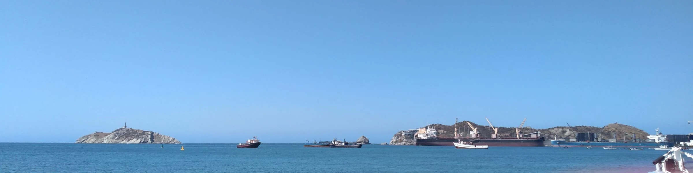 Banner image of ARDIBEL1