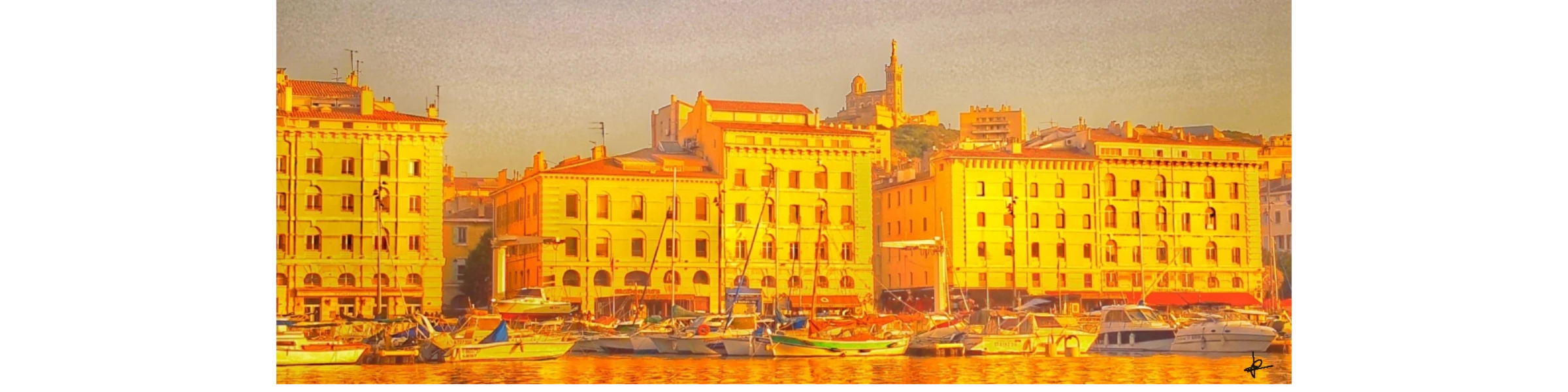 Banner image of Bobraiis