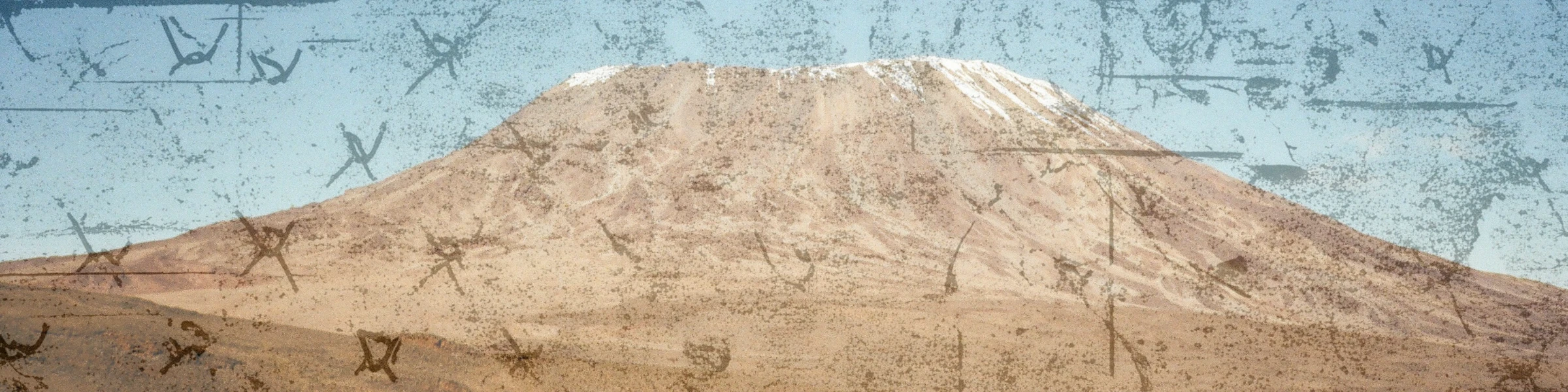 Banner image of Alyxo