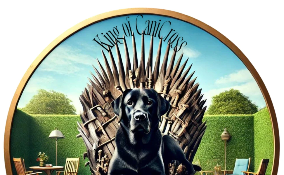 Bannerbild von Canicross King