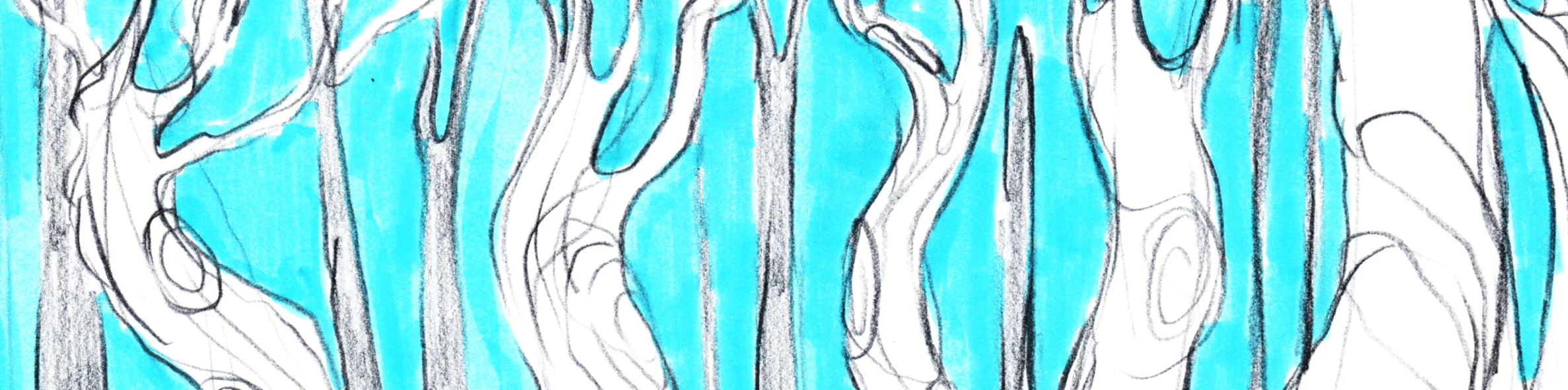 Bannerbild von magicforest