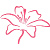 Bloomyvitae