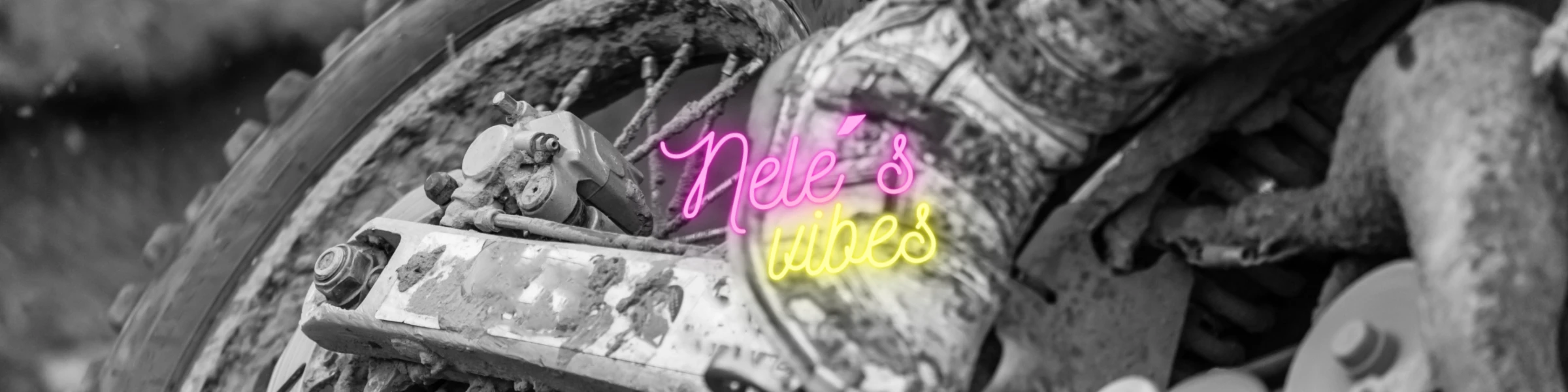Bannerbild von NelesVibes