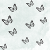 mes papillons de nuit