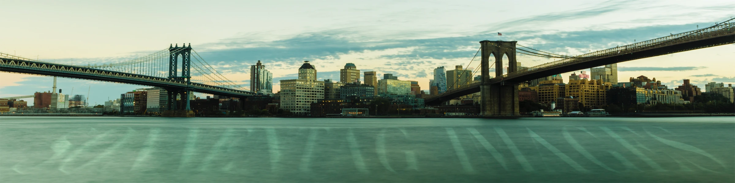 Banner image of DanBraun