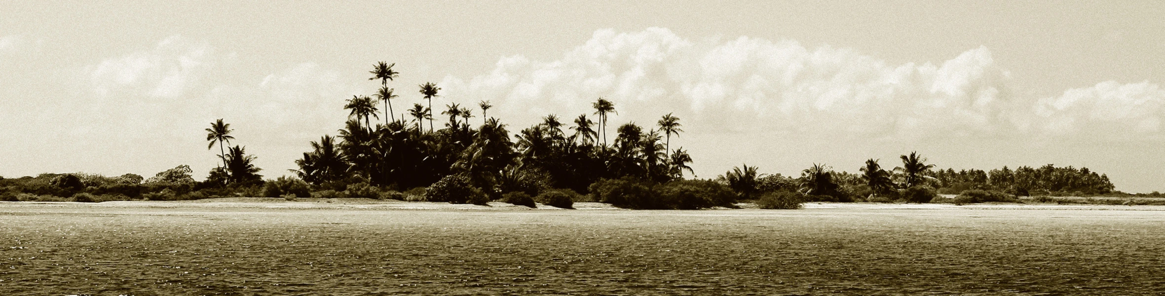 Banner image of sturetz