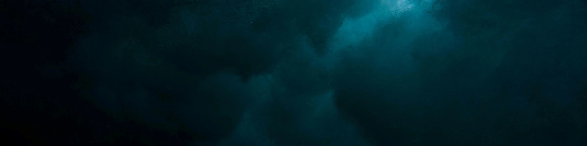 Bannière de Annanas Ink